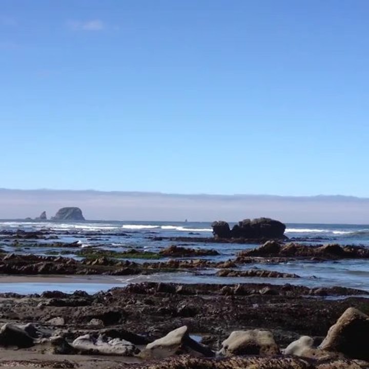 Shi, Shi Beach, Olympic NP, WA, July 2013.