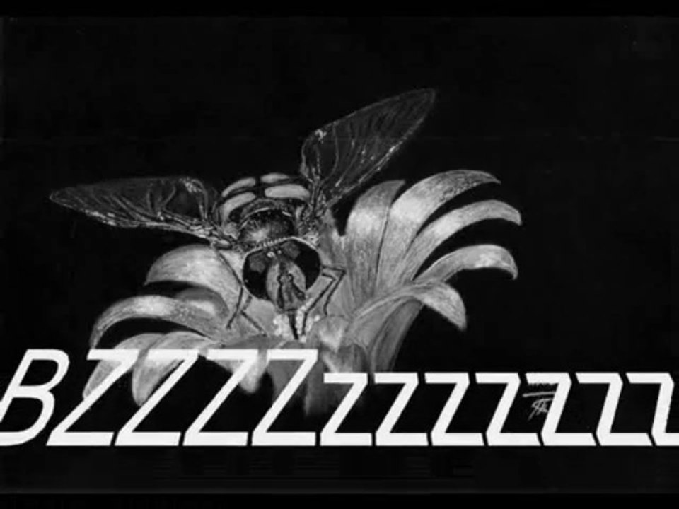BZZzzz