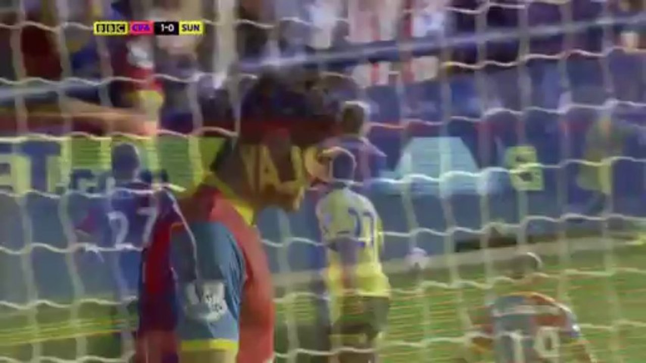 Crystal Palace vs. Sunderland (31.8.2013)