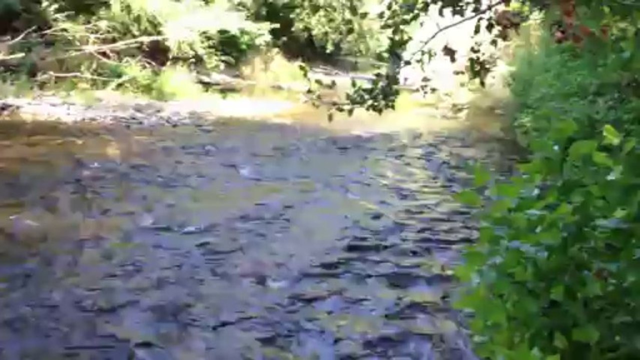 River  Runs Through It