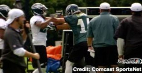 Riley Cooper, Cary Williams Fight at Practice