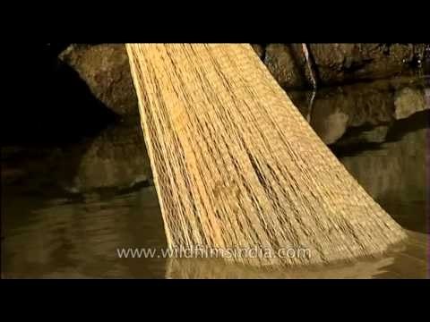 Pulling out the catch: Kerala traditional fishing