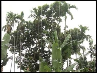 Monsoon Footage from Wilderness Films 🌧️