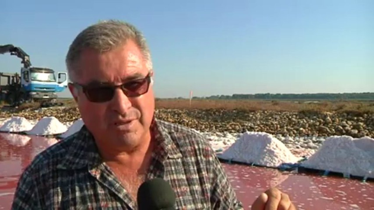 Fleur de sel : reportage de la récolte à la main aux Salins d'Aigues-Mortes