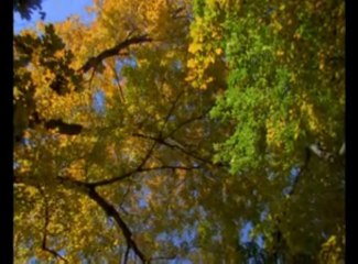 Nazım Özdemir-Fatih Ünal-Ey nebi