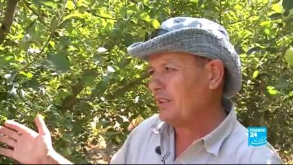 FOCUS - Residents of Golan Heights prepare for possible air strikes on Syria