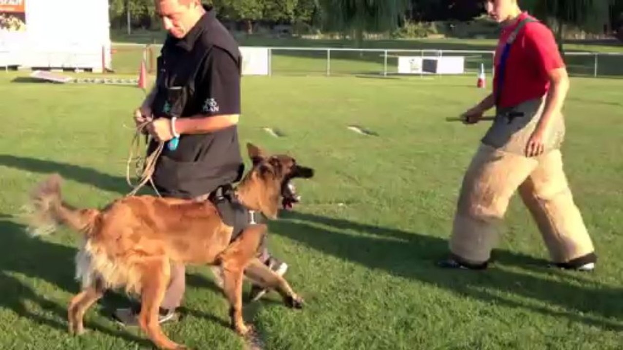 Air Max le 05 Septembre 2013( rapport au vue)