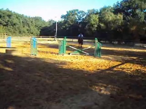 parcours jument 5 ans bleu blanc rouge