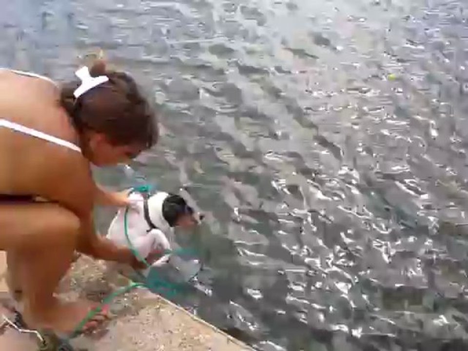 video-2013-08-26-14-42-18