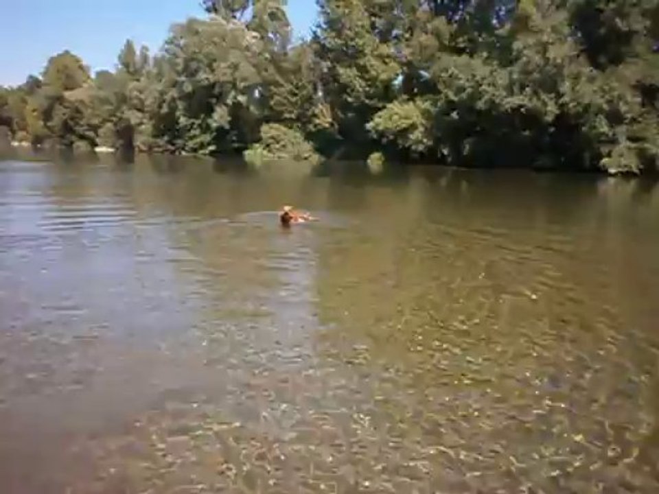 Baignade dans l'Herault le 05/09/2013