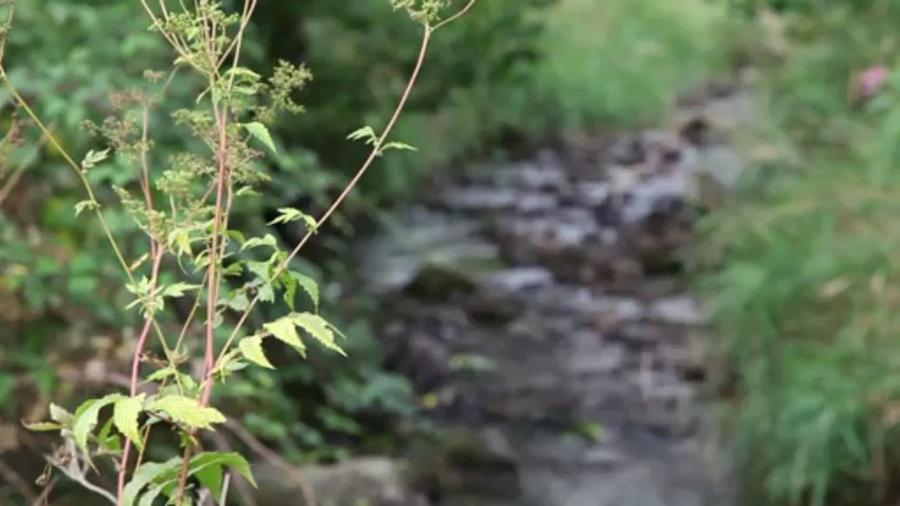 Essai nouvelle Peugeot 308 1.6 e-HDi 115 & THP 155