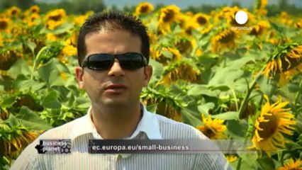 Bulgaria's New Energy Future: Embracing Renewables for a Sustainable Tomorrow 🌍