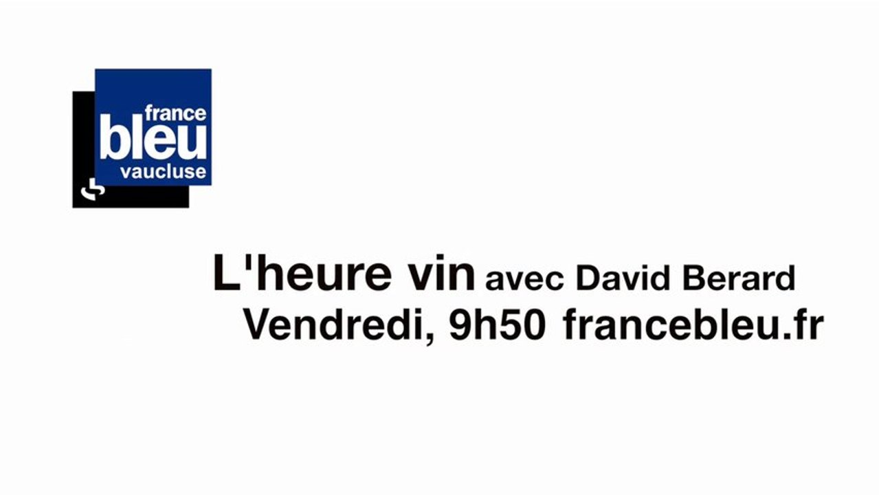 L'heure vin : lancement des vendanges avec un oenologue
