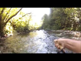 pêche dranse morzine 04.08.2013