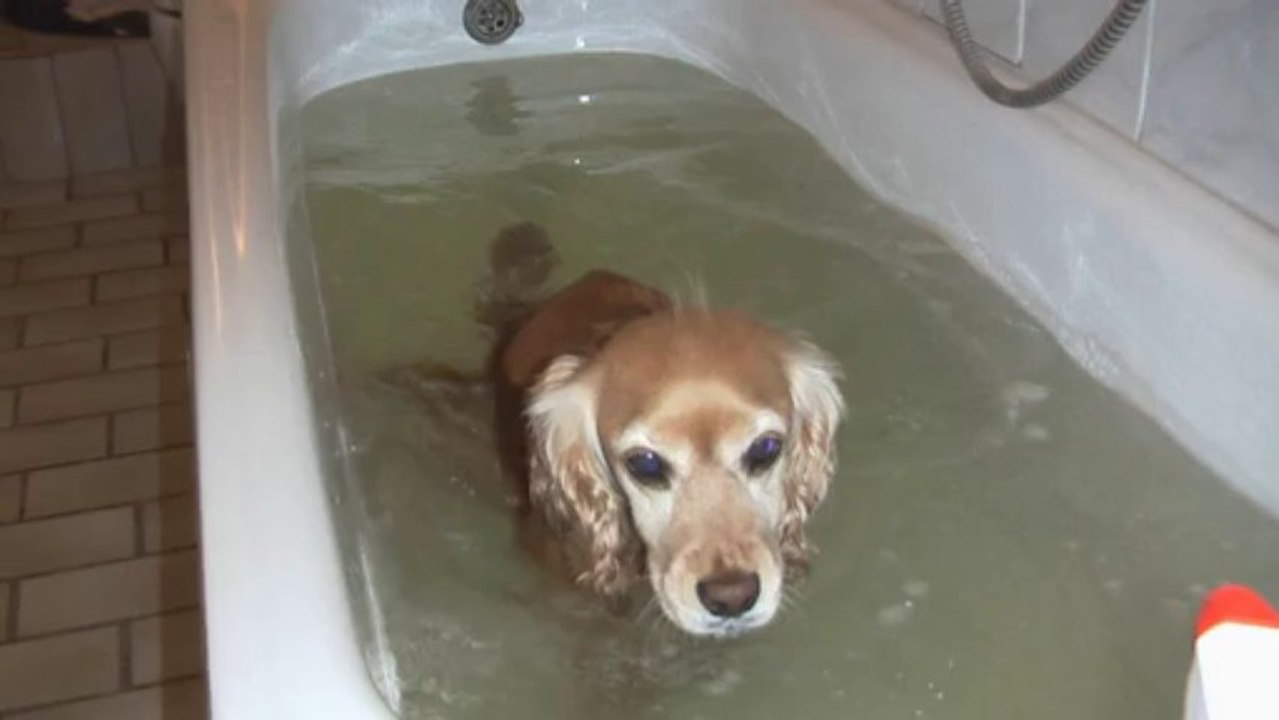 in der Badewanne zum laufen lernen