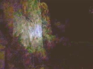 Vidéo du Yowie, le bigfoot australien