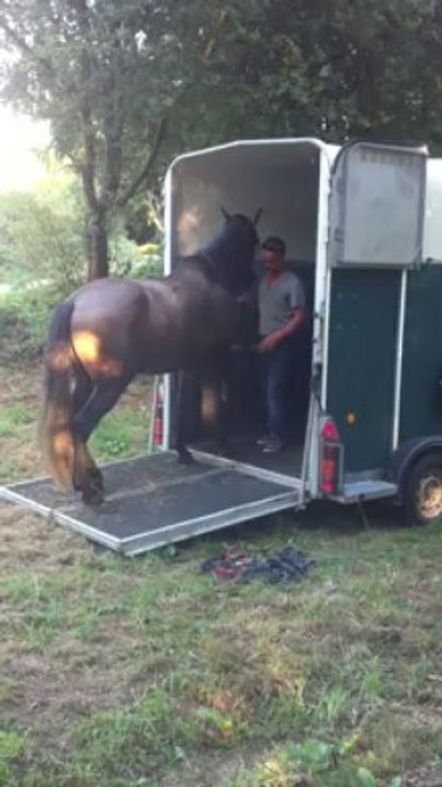 ungido DANS le van !!