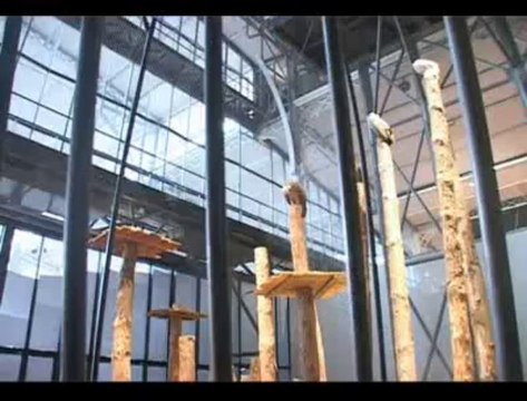 « Nous ne sommes pas un musée des sciences »