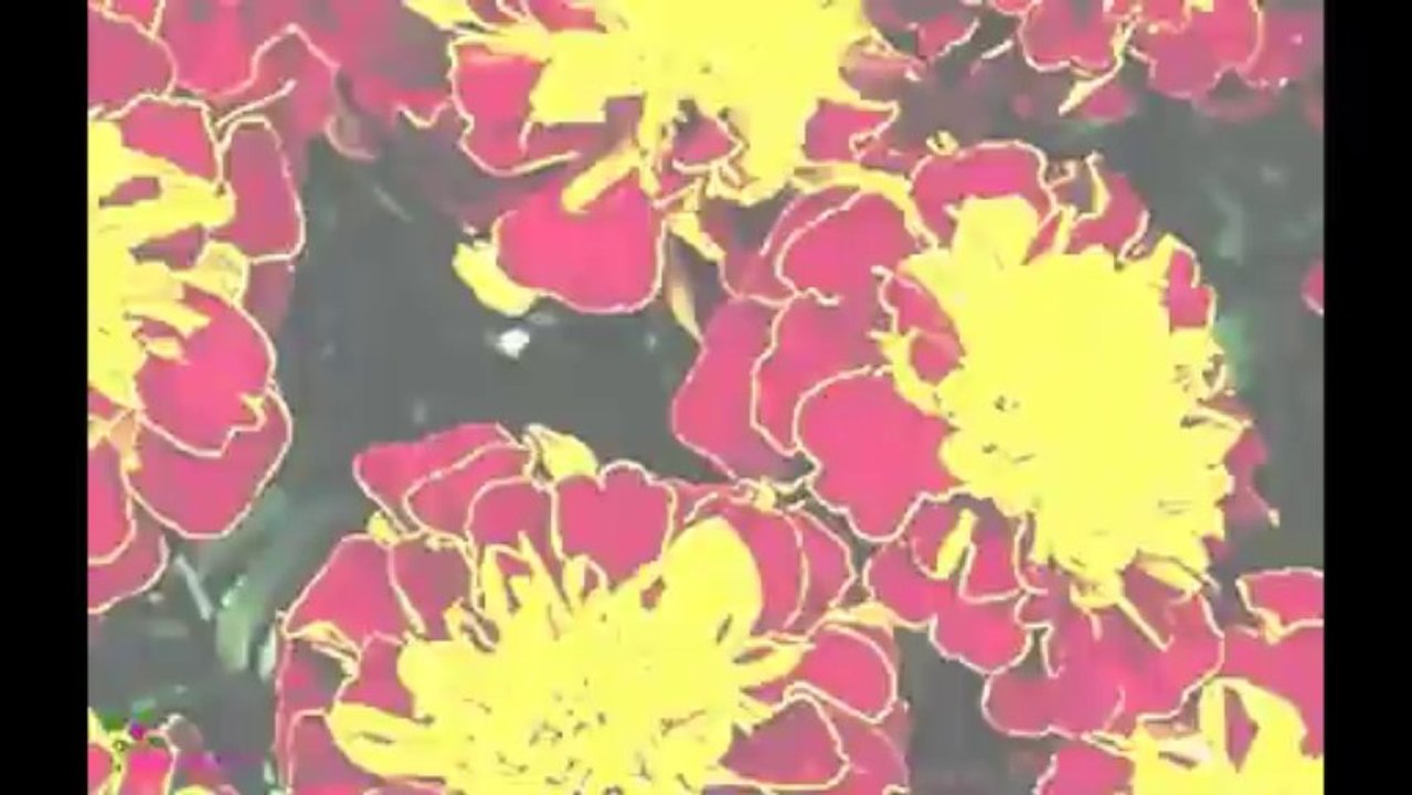 PACO RABANNE Black Xs For Her Black Xs EDT