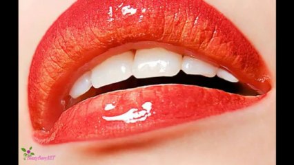 VINCENT LONGO Sheer Lustrous Lipstick