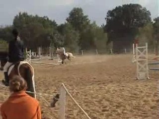 Concours saut obstacle