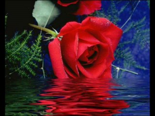 MUTLULUKLAR SANA ( EMRAH )