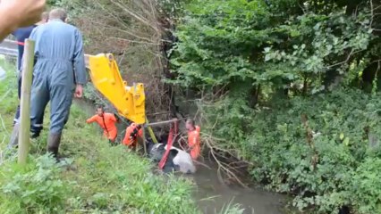 Une vache sauvée des eaux à Frethun