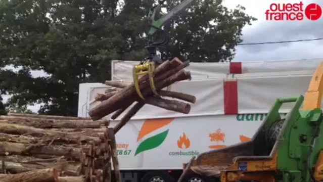 Le bois en vedette à la foire de Béré - Le bois à la foire de Béré