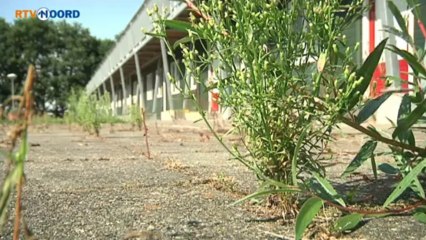 Asielzoekerscentrum in Bellingwolde weer open - RTV Noord