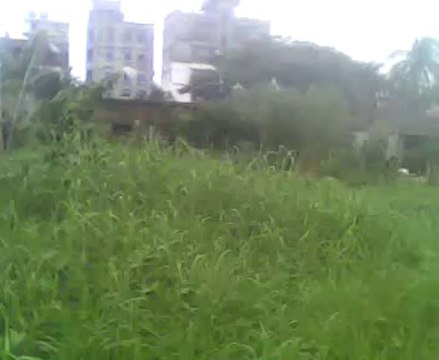 Wake Forest vs Boston College Live Stream NCAA Basketball Online HD TV