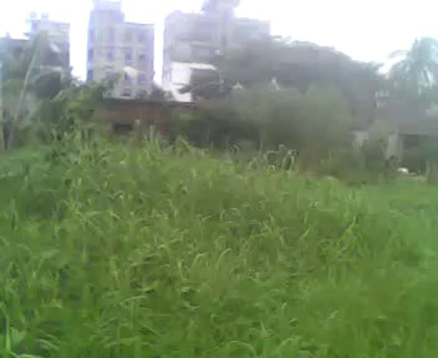 Wake Forest vs Boston College Live Stream NCAA Basketball Online HD TV