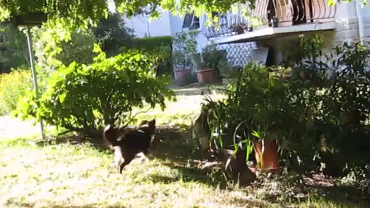 2013.08.22 - Cours après moi que je t'attrape !