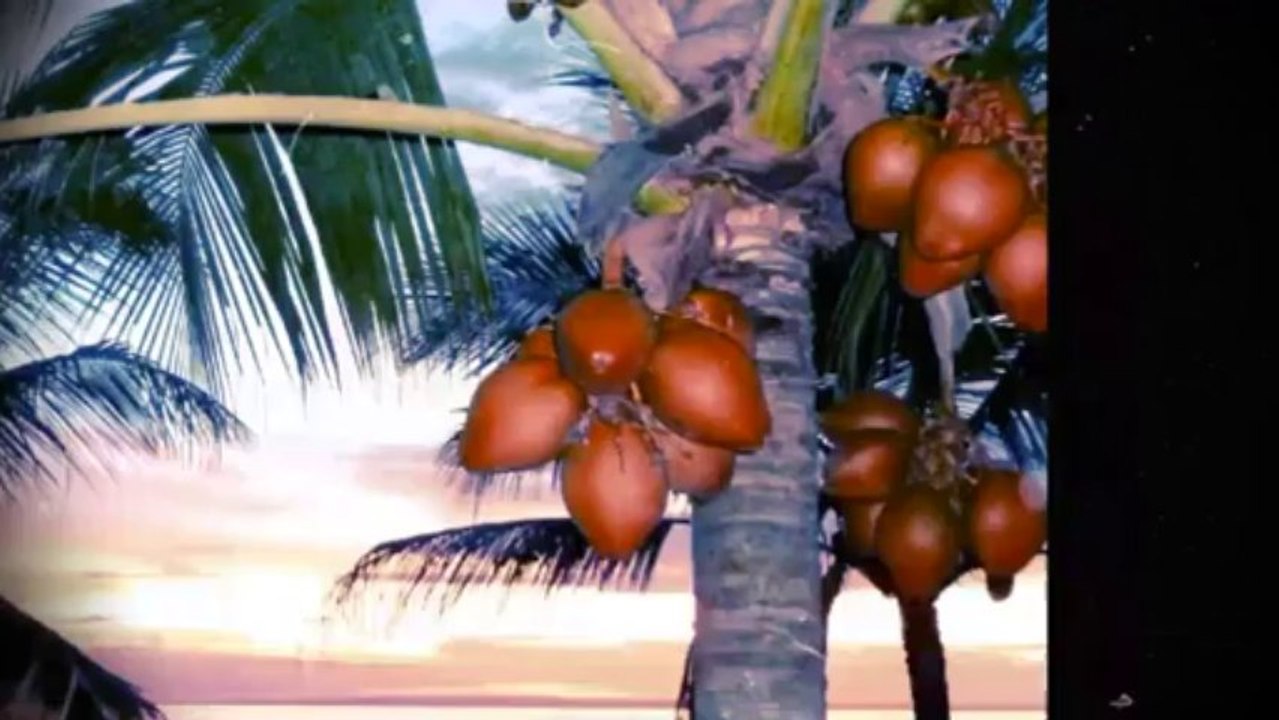 coucher de soleil à Bali