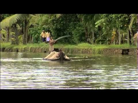 Snake boat in the backwaters of Kerala