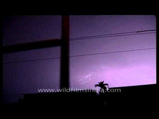 Expanding sparks of thundering and lightining