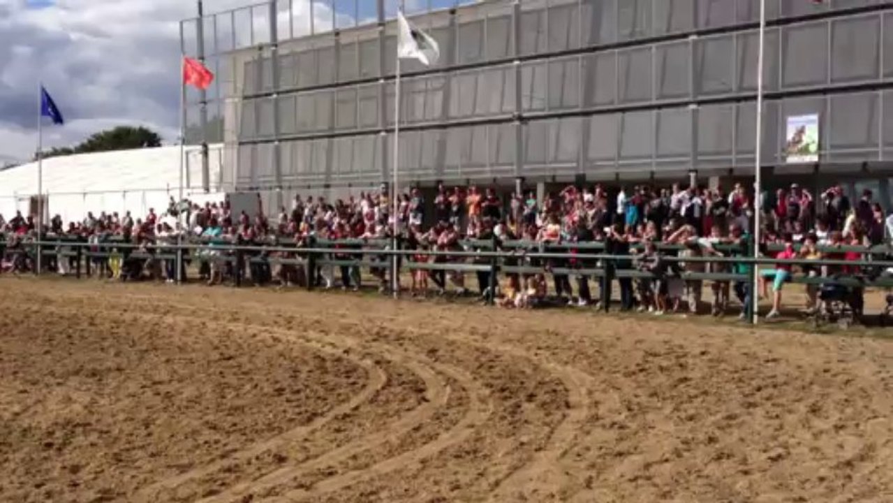 Drôle de cheval à Béré !