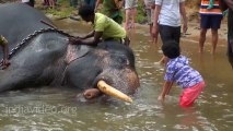 Kids enjoying Elephants Bathing in India