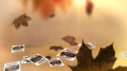 How To Build A Small Cabin Or Bunkhouse