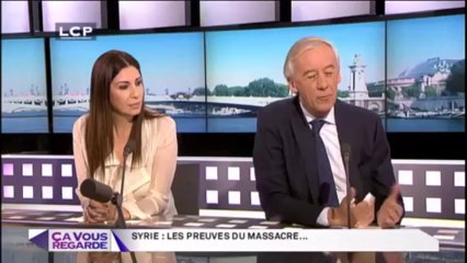 SYRIE Roland Dumas   (2)