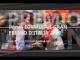 2013 F1 Grand Prix of Italian race 08/09/13