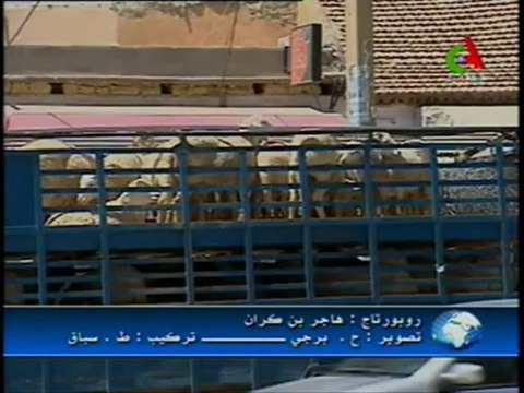 Réalisation d'un complexe Régional des viandes rouges à Hassi Bahbah (Djelfa) - JT 25aou13