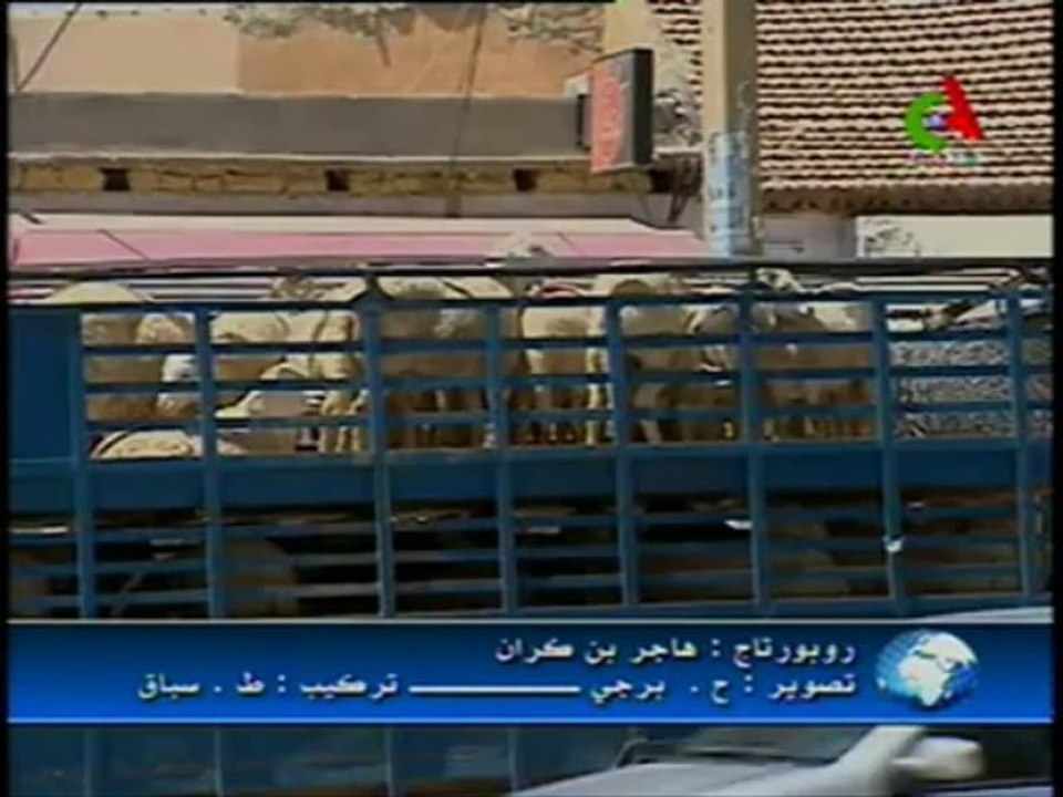 Réalisation d'un complexe Régional des viandes rouges à Hassi Bahbah (Djelfa) - JT 25aou13