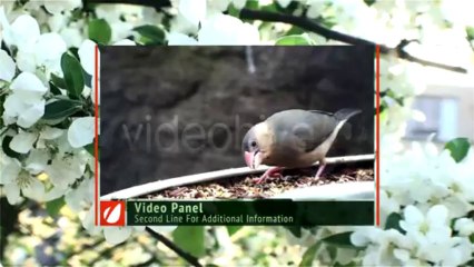 Sliding Brackets Lower Third - After Effects Template