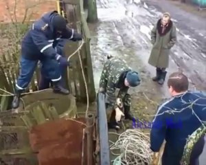 Compilation de sauvetage de chiens