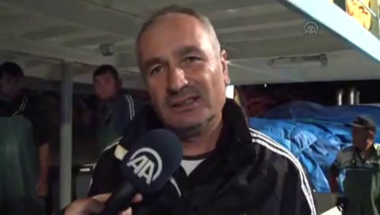 Denizden palamut fışkırdı