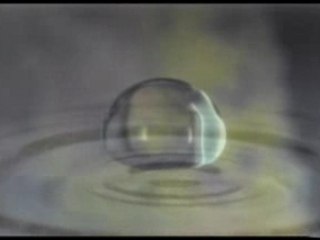 Para Didine: An Overview