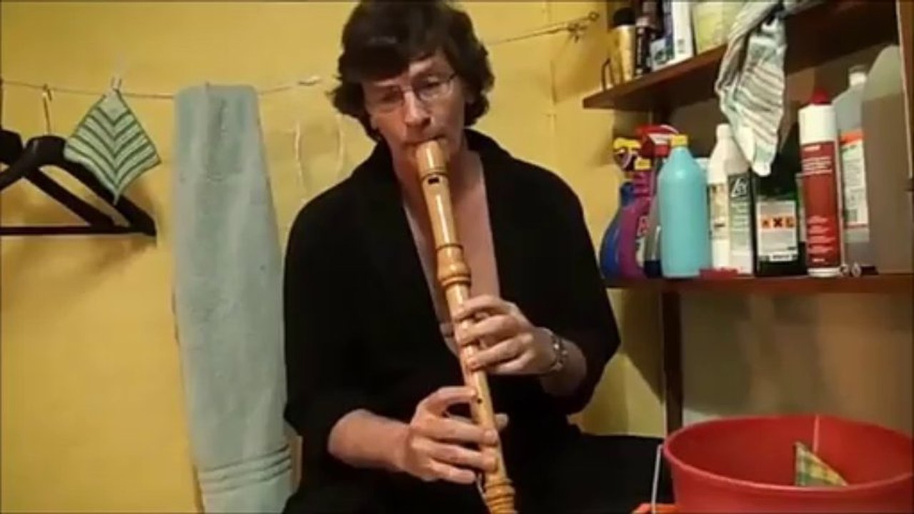 Daft Punk -  Robot Rock ( Flute version )