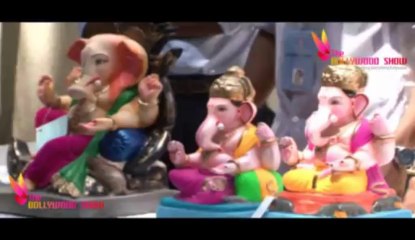 Shahid Kapoor Inaugurated Times Green Ganesha