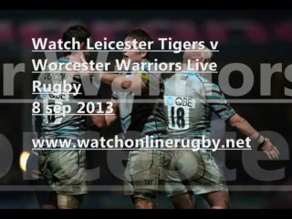 Watch Tigers vs Warriors Live Streaming