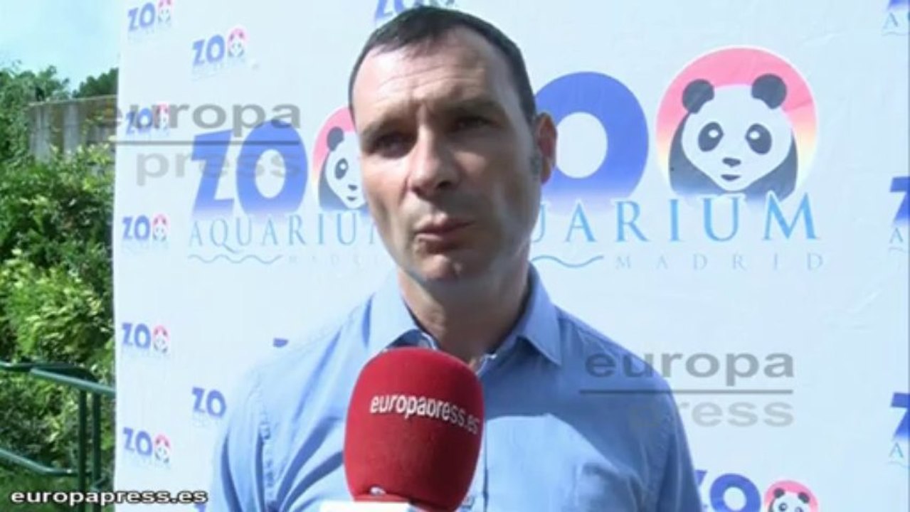 Motivos de celebración en Zoo Aquarium de Madrid